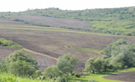 В Республике Молдова будет создана информационная система Реестр почв