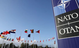 НАТО призвала Россию вывести войска из Украины Грузии и Молдавии