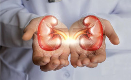 Medic nefrolog Cum să deosebim durerile de spate de durerile de rinichi