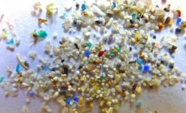 ÎNGRIJORĂTOR Zilnic în casă inhalăm peste 7000 de particule de microplastic