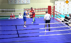 A început Campionatul Moldovei la Box