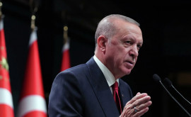 Прокуратура Стамбула возбудила уголовное дело по статье Оскорбление президента