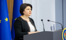 Гаврилица назвала циничной политизацией просьбу Гагаузии о раздельных поставках газа