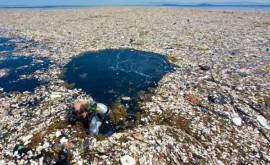 Острова мусора в океане