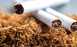 Un agent economic implicat în contrabanda de țigări