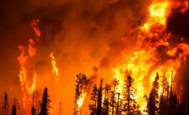 В Южной Калифорнии сильный пожар проводится эвакуация