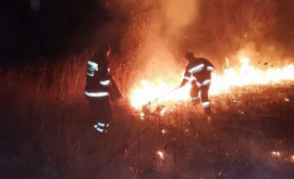 Пожар в ЧадырЛунге Пламенем было охвачено более 100 гектаров растительности