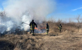 Пожарные потушили несколько гектаров горящей растительности