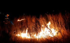 Пожарные ликвидировали более 100 очагов возгорания сухой растительности