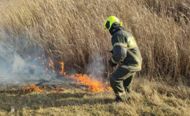 Peste 1000 ha de vegetație uscată distruse de flăcări în ultimele 24 de ore