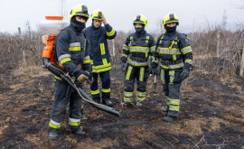 С начала этого года ликвидировано более 1300 пожаров