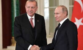Эрдоган заявил Путину что война в Украине никому не принесет пользы