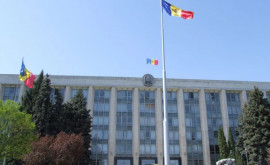 Власти Молдовы создали канал для проверки официальной информации