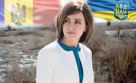 Cum poate Moldova să treacă peste cîmpul minat întreagă și nevătămată