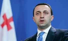 Premierul Georgiei a depus cerere de aderare la UE