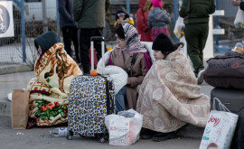 Refugiații ucraineni sînt în căutare de muncă