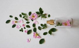 Aromaterapia împotriva stresului Ce mirosuri pot înlătura îngrijorarea