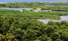 В Молдове будет основан национальный парк Прутул де жос