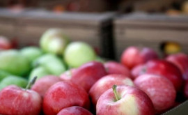 Экспортеры яблок пострадали от войны в Украине