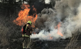 За последние сутки пожарные потушили более 200 пожаров