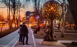 O nouă zonă verde a fos amenajată pe strada Miorița din capitală