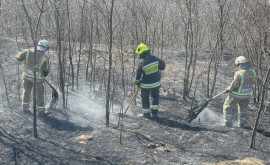 Пожарные призывают население не поджигать траву и бытовой мусор