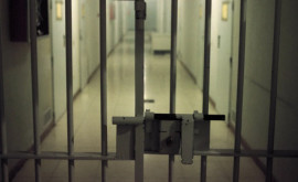 Trei tinere ar putea fi condamnate la închisoare pe viață