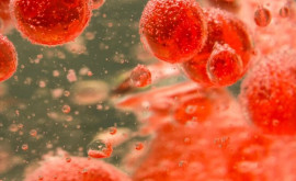 Cercetătorii au găsit microplastice în sîngele uman pentru prima dată