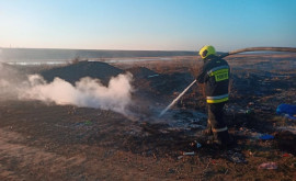 Peste 300 misiuni de stingere au fost întreprinse de pompieri la lichidarea focarelor de vegetație arsă 