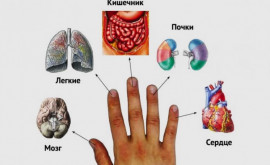 Fiecare deget este conectat la două organe metoda japoneză de tratare în 5 minute