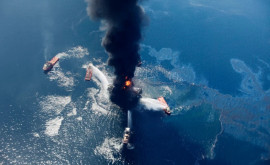 Как уроки аварии в Мексиканском заливе помогут защитить Арктику 