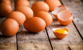 Партию куриных яиц из Чимишлии отзывают изза возможного заражения сальмонеллами