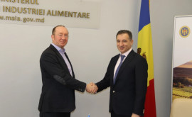 Companii azere sunt dispuse să inițieze proiecte comune cu producători agricoli din R Moldova