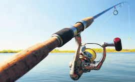 Pescuitul scrumbiei ar putea să fie permis pe timp de prohibiție