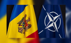 NATO examinează majorarea sprijinului pentru Moldova și Georgia 