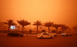 Оранжевое небо над Багдадом Ирак накрыла песчаная буря