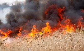 Alertă la hotarul moldoucrainean Incendiile bîntuie prin Ucraina