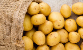 В Молдове дорожает картофель