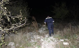 Doi minori au fost găsiți întro pădure din raionul Șoldănești după ce aceștia sau rătăcit