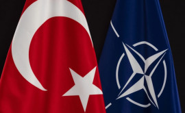 Стало известно о возможном исключении Турции из НАТО
