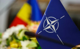Попеску Власти еще не решили принимать ли летальное оружие от НАТО