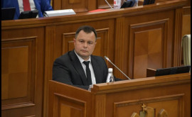 Депутат об отставке Есауленко Пора реформировать СИБ 