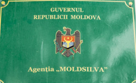 Глава агентства Moldsilva подал в отставку