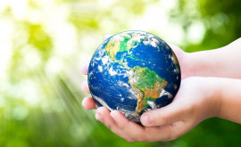 Обращение Майи Санду по случаю Всемирного дня окружающей среды