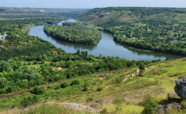 Заповедные Кодры молдавские турфирмы разработали шесть новых маршрутов по древним лесам