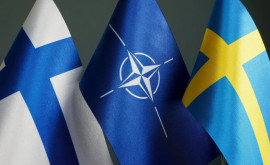 В Сенате США одобрили заявки Финляндии и Швеции на вступление в НАТО