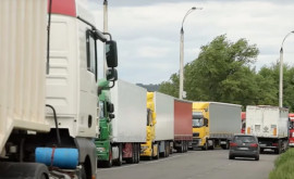 Verde pentru camioanele goale şi cele care transportă alimente perisabile la frontiera cu Republica Moldova
