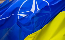 НАТО готовит план перевода украинской армии на оружие альянса