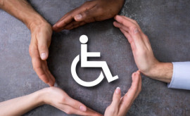 Мештер Деятельность публичных властей должна соответствовать ожиданиям людей с инвалидностью