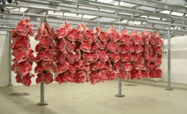 Contrabandă cu 140 tone de produse din carne
